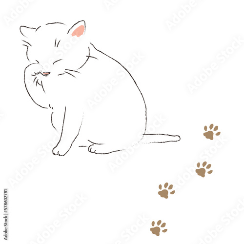 顔を洗う白い猫と足跡