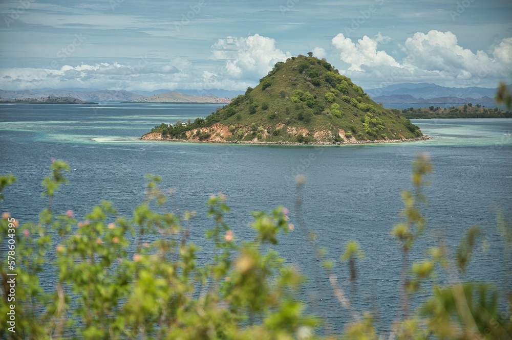 Idlillic panorama shot from the top of the hill of Kalor Island in Komodo National Park on Flores, in the foreground a plant, in the background the sea and a hill.