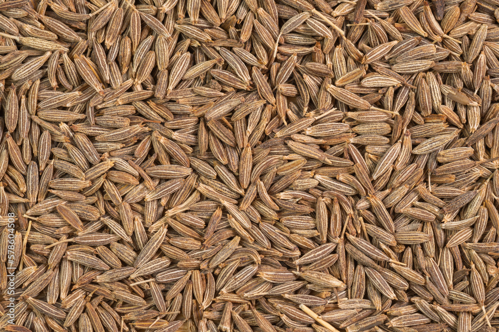 Dried cumin spice seeds background. Dry seasoning cumin. Spices and herbs for cooking zira Dried cumin spice seeds background. Dry seasoning cumin. Spices and herbs for cooking zira