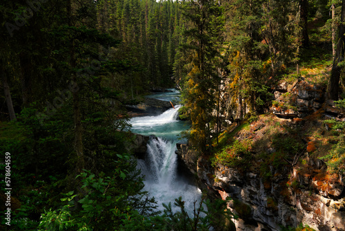 Waterfall in Glacier National Park  Montana  USA  in summer