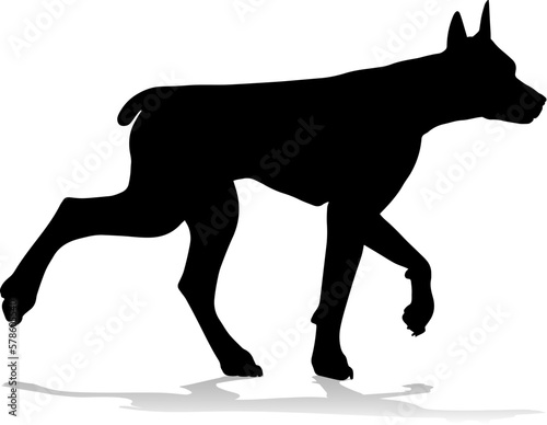 A detailed animal silhouett...