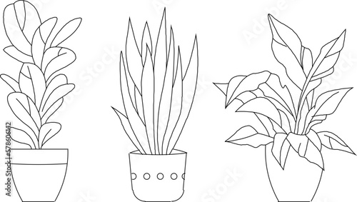 sketch vector illustration of a potted plant on a table