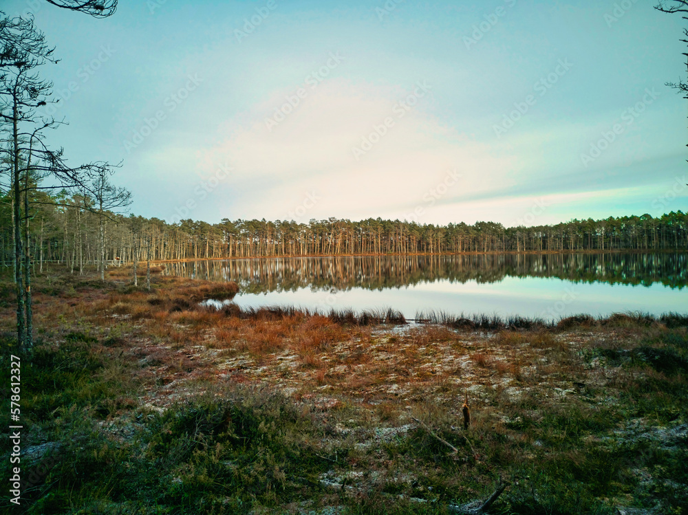 Beautiful sunset over the lake in the bog. Autumn landscape.