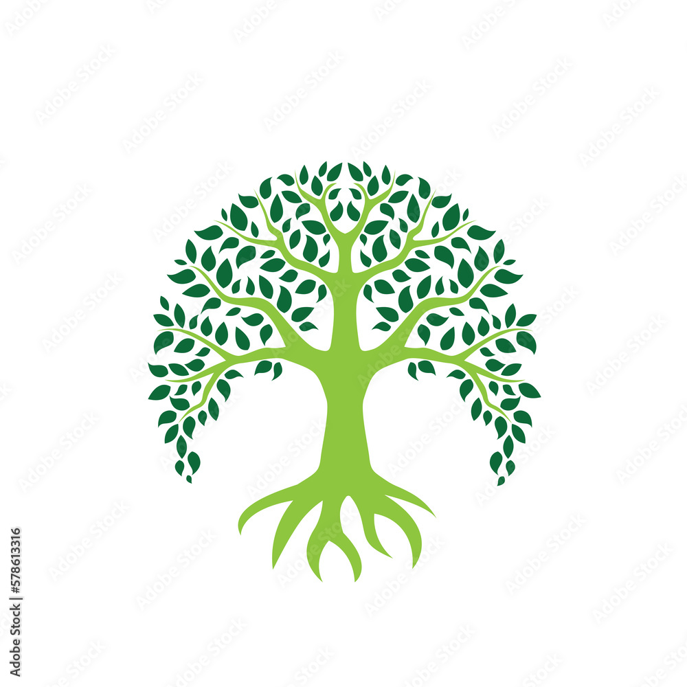 Obraz premium tree with green leaves eps