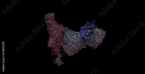 Fototapeta Naklejka Na Ścianę i Meble -  SARS-CoV-2 Spike glycoprotein (red) attacked by Fab antibody, 3D protein molecule 4K (180 degrees view)