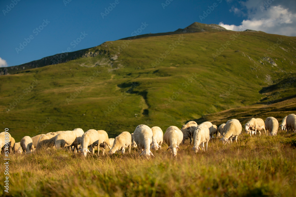 Fototapeta premium Šar Mountains: Stunning Photography of Rugged Peaks and Pristine Landscapes
