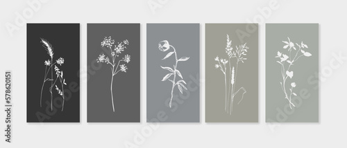 Wildflowers twigs set on monochrome background in line art style. Greenery vector illustration in minimalist style for invitation. Modern single line art, aesthetic outline. © DOROTHEA