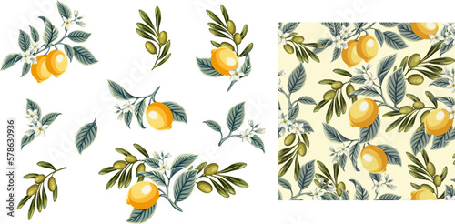 lemon, lemon slices, olives and olive branch Set of hand drawn botanical illustration of fresh yellow Lemons. Element for design of invitations, movie posters, fabrics and other objects. Isolated on w