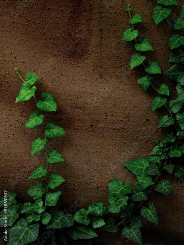 Natural green ivy leaves on old weathered rock wall background. Creative wallpaper, website backdrop for design text sign Natural vine low key colors decorative surface. Greenery silhouettes on stone