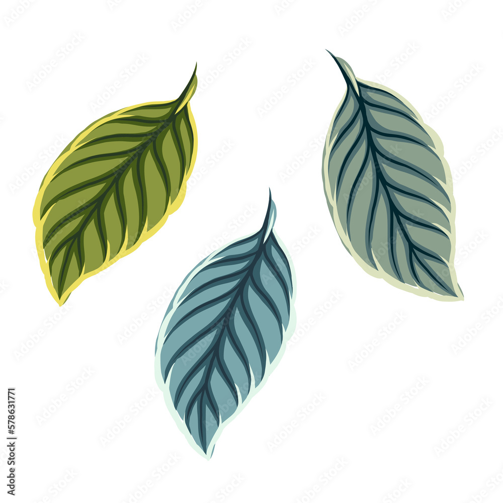 various shades of lemon leaves hand drawn PNG objects