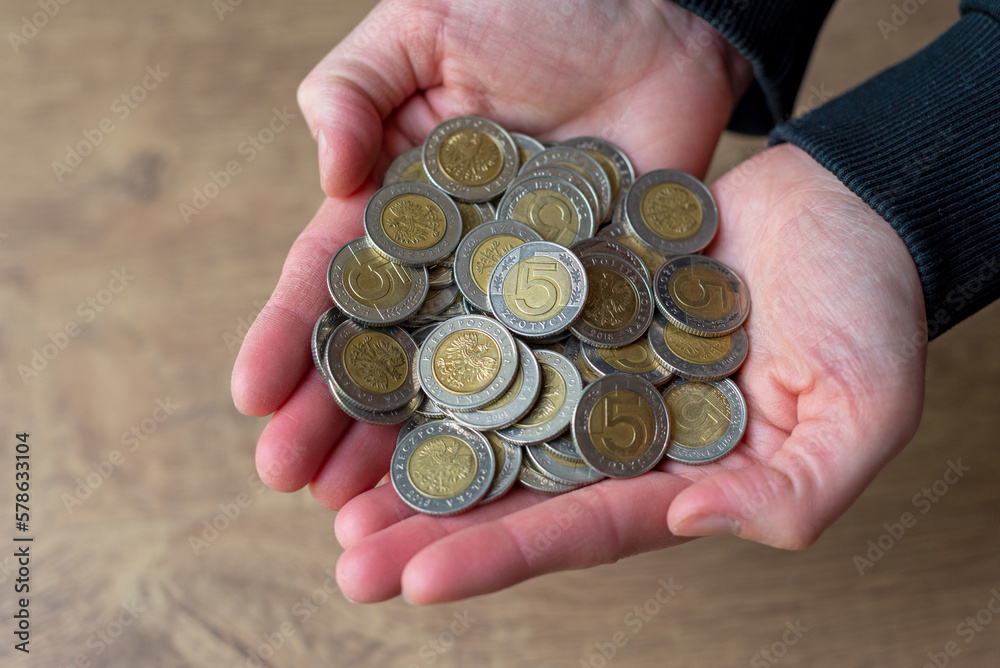 5 zloty coins on the hands. Money on hands.