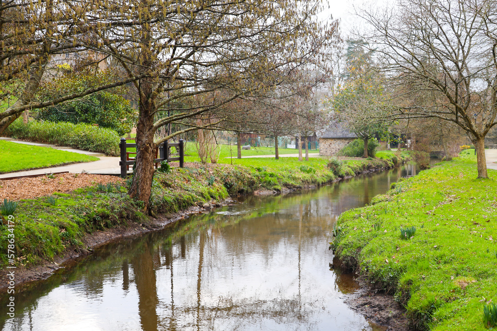 landscape with trees and pond landscape with trees and pond