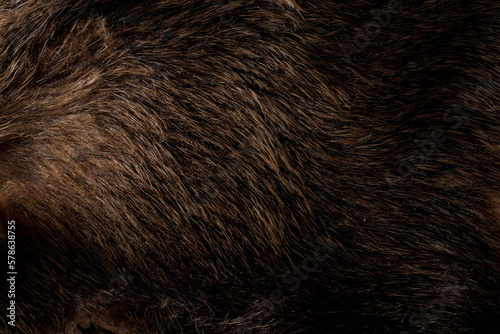 Wallpaper Mural Natural boar fur. Dark background in shades of brown. Torontodigital.ca