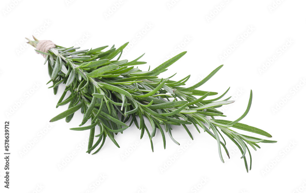 Fototapeta premium Fresh rosemary twigs tied with twine isolated on white