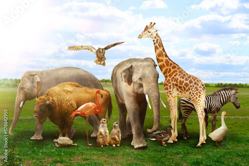 Canvas Print Many different animals on green grass under cloudy sky