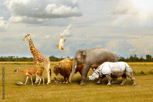 Many different animals walking under cloudy sky © New Africa