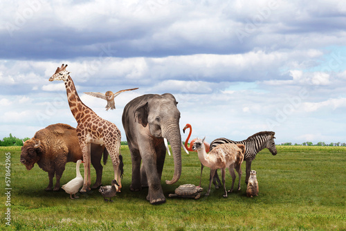 Many different animals on green grass under cloudy sky