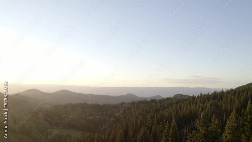 Epic aerial dolly through posts revealing dense evergreen forest Epic aerial dolly through posts revealing dense evergreen forest
