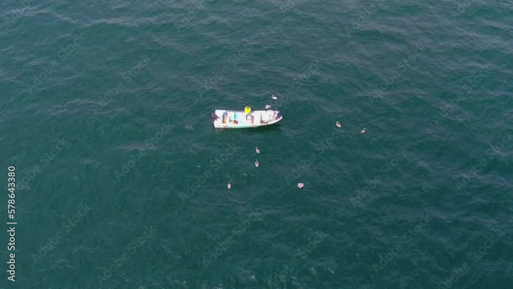 Barco En El Mar Junto a Gaviotas En El Agua Pescando Toma Aérea 