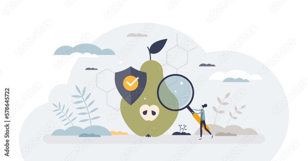 Food safety control with hygiene checking and inspection tiny person concept, transparent background. Hazard and poisoning awareness for safe grocery consumption illustration. Food safety control with hygiene checking and inspection tiny person concept, transparent background. Hazard and poisoning awareness for safe grocery consumption illustration.