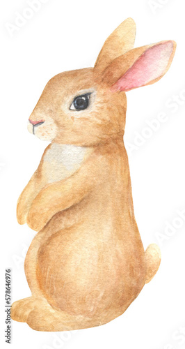 Cute bunny watercolor illustration. Easter rabbit han-painted illustration. 