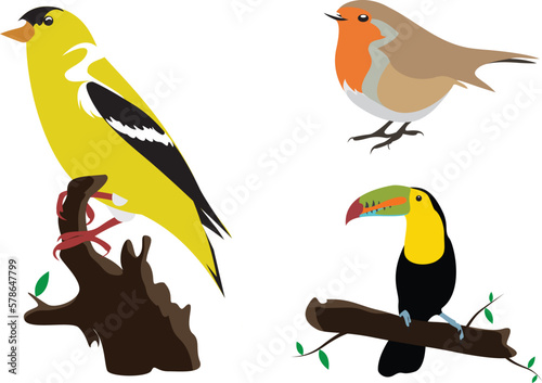 various simple colored bird  vector