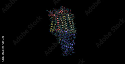 otosynthetic light-harvesting LH1 complex-associated RC 3D protein molecule 4K photo