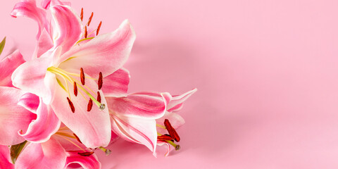 Pink lily flowers on pink background for design on theme of wedding or holiday invitation. Copy space