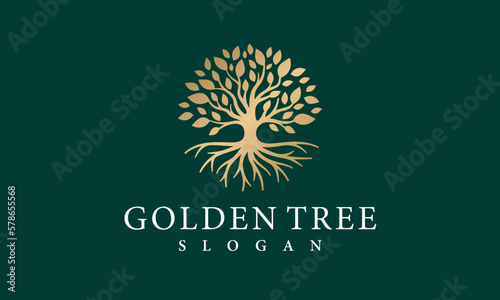 Golden Tree Logo - Vector Tree Roots Nature Growth and Wealth Symbol 