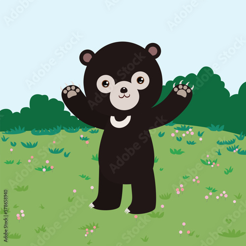 malayan sun bear, honey bear in nature