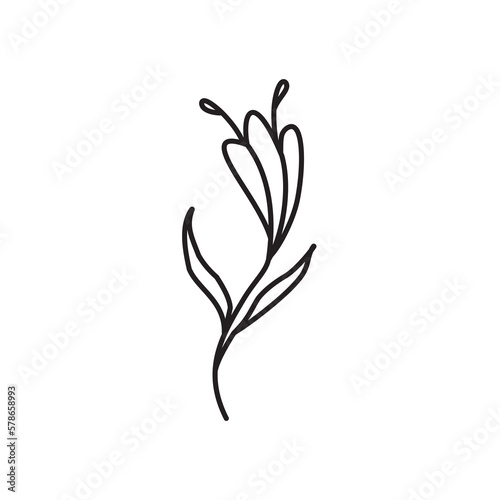 illustration flower tulip, black outline flower, concept