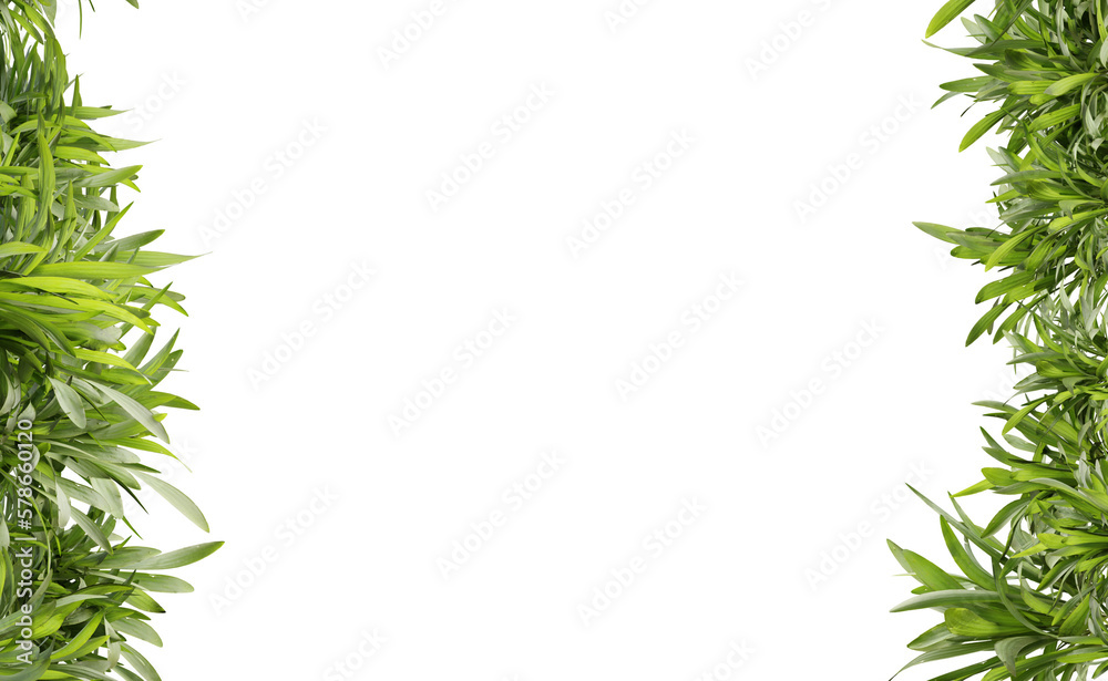 Green leaf frame on transparent background, center space, 3d render illustration. Green leaf frame on transparent background, center space, 3d render illustration.