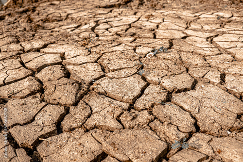 Cracked soil and drought 