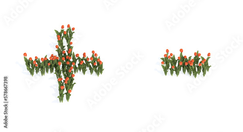 Conceptual set of beautiful blooming tulip bouquets forming the plus and minus signs. 3d illustration metaphor for education, design and decoration, romance and love, nature, spring or summer.