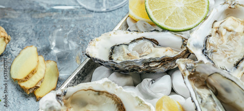 Fresh oysters with lemon and ice. Restaurant delicacy. oysters dish. Oyster dinner with champagne in restaurant, banner, menu, recipe place for text, top view