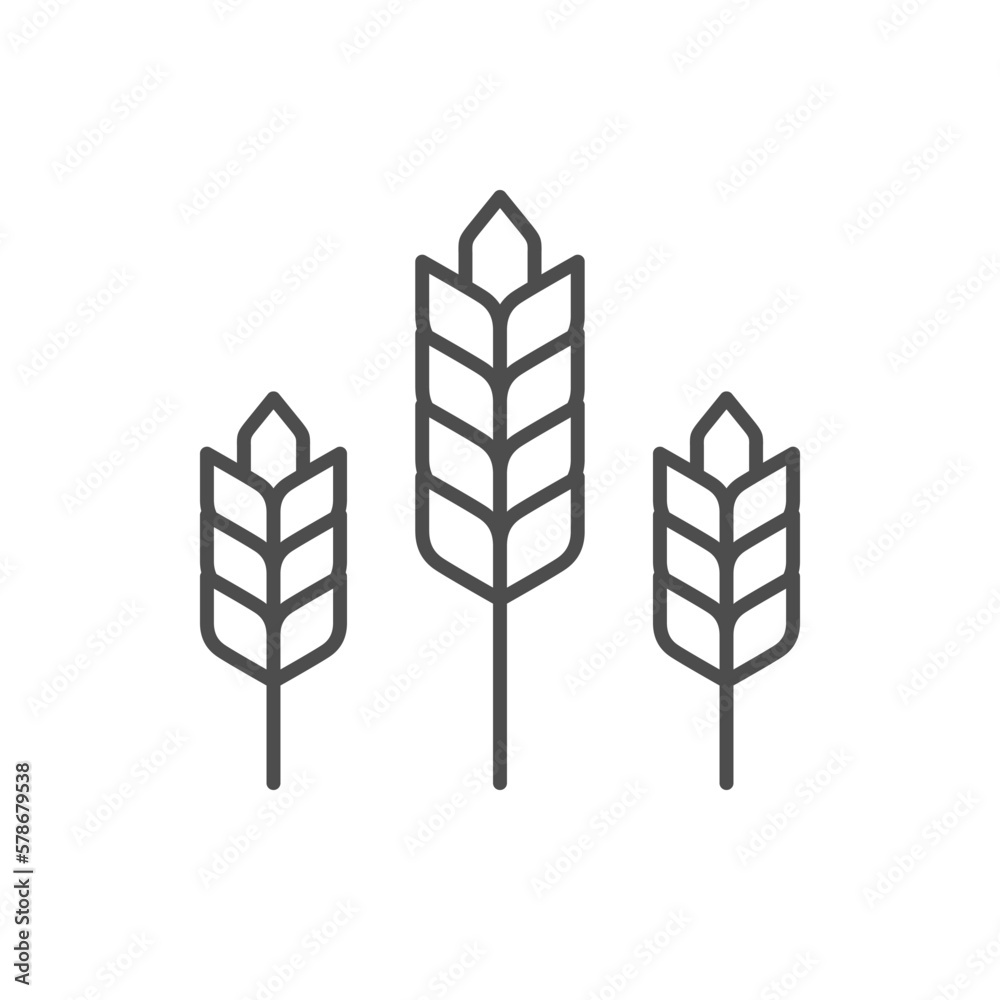 Cereal plant line outline icon