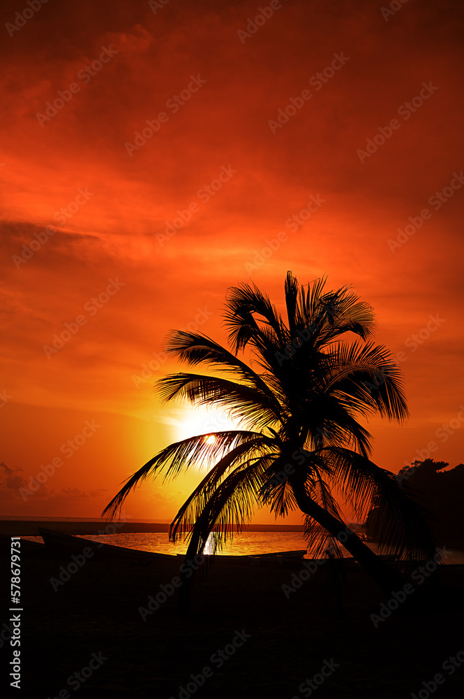 Silhouettes of palm tree and amazing cloudy sky on sunset at tropical sea with boats. Vertical