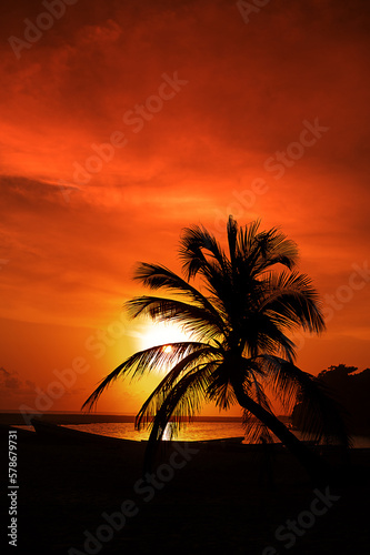 Silhouettes of palm tree and amazing cloudy sky on sunset at tropical sea with boats. Vertical