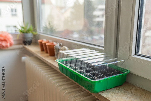 Mini greenhouse for seedlings on the windowsill