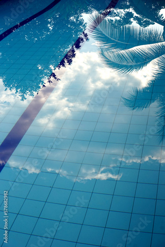 Blue water pool with palm tree