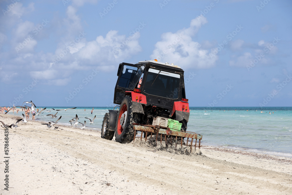 Tractor cleans the beach sand from seaweed. Coast cleaning on Caribbean island resort in Atlantic ocean