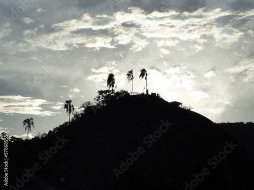 silhouette of trees at sunset