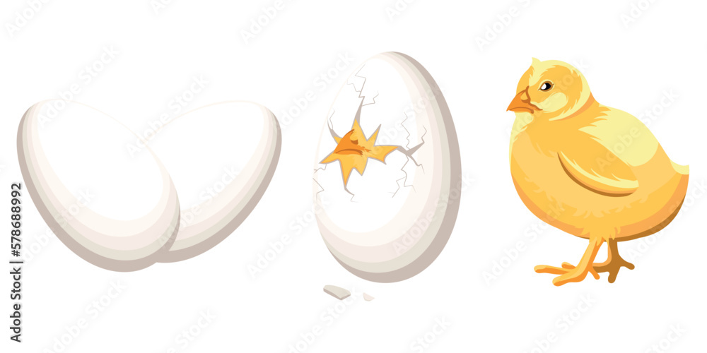 Set vector Illustration Easter Chicks.