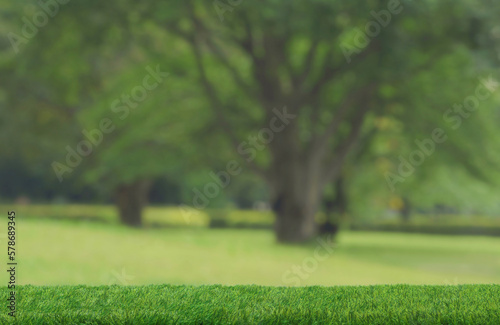Green grass field table top podium floor blurred park outdoors tropical forest nature background.Healthy organic natural product placement pedestal stand display,spring or summer jungle paradise.