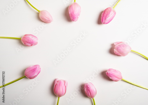 Fresh pink and purple blooming tulip flowers on white background, flat lay, directly above view. Beautiful spring blooms with negative space.