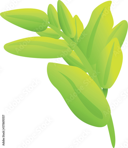 Green sage icon cartoon vector. Leaf plant. Tea basil