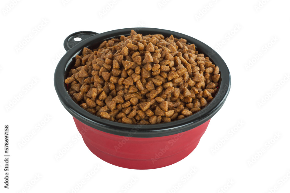 Portable folding bowl with dog food isolated on white background Portable folding bowl with dog food isolated on white background