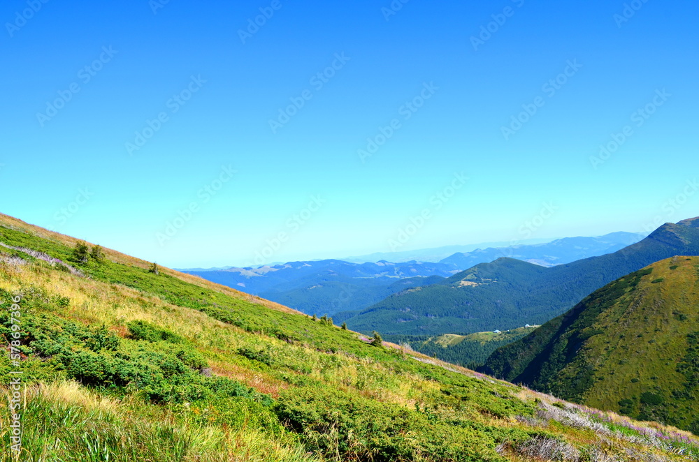 Carpathian mountain. Ukraine. beautiful summer landscape, with blue sky and  sunshine. blue horizon