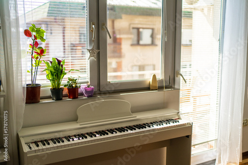 Photo of the white piano in living room by the window, with plants by the window sill in sunny day.