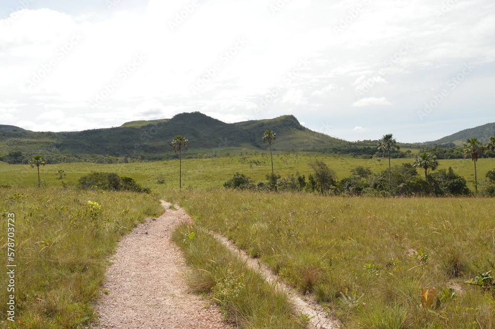 Naklejka premium path in the mountains
